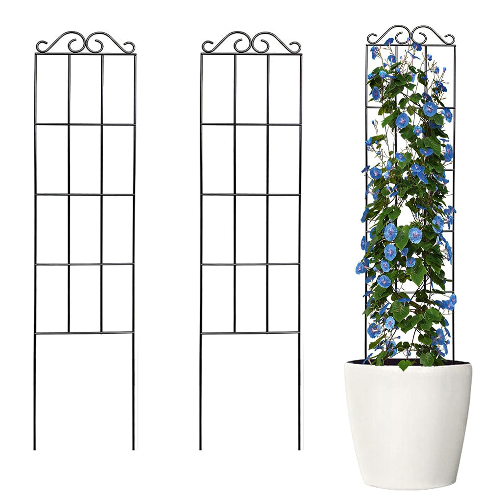 HASTHIP Metal Garden Trellis for Climbing Plants HASTHIP Metal Garden Trellis for Climbing Plants